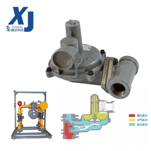 Régulateur de gaz résidentiel Itron B42 B42R 1 pouce 3/4 pouce à ressort auto-régulant - Product Image 2