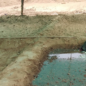 Eco-Friendly Vermicompost For Plant Growth Best <b>Organic</b> <b>Fertilizer</b> With Natural Benefits 2025 - Product Image 2