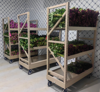 Chariot à fleurs industriel robuste en métal avec 4 roues en caoutchouc, capacité de charge de 200 kg, chariot à plantes pour serre, prix direct usine