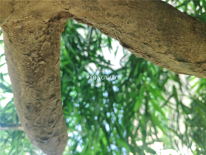 Árboles Artificiales de <span class=keywords><strong>Sauce</strong></span> <span class=keywords><strong>Llorón</strong></span> Colgantes de Plástico Verde para Exteriores, Certificados con Protección UV, para Decoración de Jardines, Oficinas y Hoteles - Product Image 4