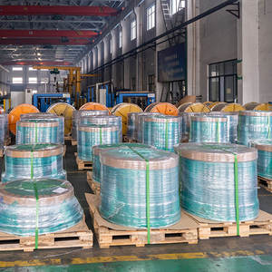 Ruban en acier revêtu de plastique haute résistance, résistant à l'humidité et à l'eau, pour <span class=keywords><strong>gaine</strong></span> de câble de <span class=keywords><strong>fibre</strong></span> optique et de communication - Product Image 6