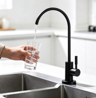 Robinet de cuisine moderne noir mat en acier inoxydable 304, accessoires de purificateur d'eau, robinet d'eau à 1 voie, robinet d'eau RO certifié NSF