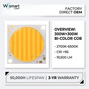 ไฟสตูดิโอปรับค่าสีได้ 2700K-6500K กำลังสูงพิเศษ 300+300W ชิป LED COB 5050 แบบสองสี CRI >95 สำหรับอุปกรณ์ถ่ายภาพ - Product Image 1