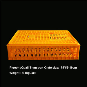 Volaille vivante Poulet <span class=keywords><strong>Canard</strong></span> Oie Pigeon Caisse <span class=keywords><strong>de</strong></span> transport Cage Caisse en plastique <span class=keywords><strong>de</strong></span> haute qualité - Product Image 6