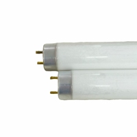 365nm Anti-Explosion FEP Film Moustique Contrôle Bug Zapper BL Tube Lampe Fluorescente pour la lutte antiparasitaire intérieure