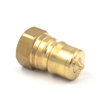 Raccord rapide forgé haute pression en laiton de 1/2 pouce avec double joint torique interchangeable pour tuyau d'eau et d'air