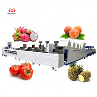 Fruit- en kersen sorteer-, kalibratie-, was-, sterilisatie- en automatische intelligente fruitmachine met hoge efficiëntie, roestvrijstalen PLC-besturing.