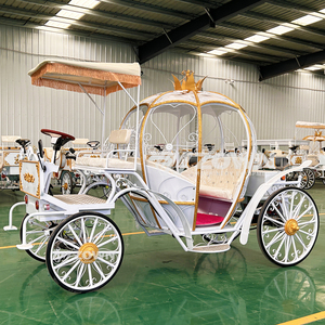 Carruaje Eléctrico Real con Forma de Calabaza de la Princesa Cenicienta, Modelo 2026, para Bodas - Product Image 4