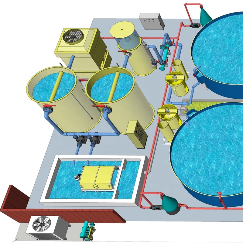 RAS Intensive Recirculating Aquaculture System Indoor