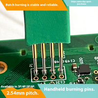 Línea de descarga ARM JTAG AVR STC 2,54 Prueba de programación de chip Sonda de PIN de resorte
