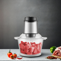 Hachoir Électrique Automatique en Acier Inoxydable de 2 L pour Viande, Légumes et Aliments, Idéal pour la Maison, Prix Usine