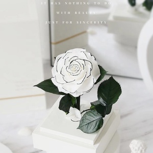 Ingrosso conservato stabilizzato Rose secche conservate in acrilico scatola di fiori per il regalo - Product Image 2