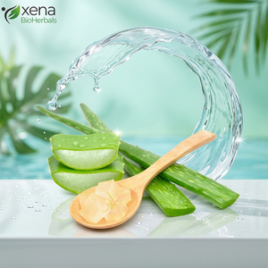 Gel de Aloe Vera 100% Natural Puro, Gel de Aloe Vera Orgánico al por Mayor, Etiqueta Privada, Proveedor OEM - Product Image 3