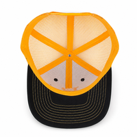 Gorra de playa unisex de 6 paneles de perfil bajo, estructurada, con malla trasera y logotipo bordado, de alta calidad, personalizada al por mayor.