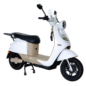 Trottinette Électrique CE 1000W pour Adultes, Bici Elettrica pour Livraison, Citycoco, Fournisseurs Vérifiés de Trottinettes Électriques - Product Image 4