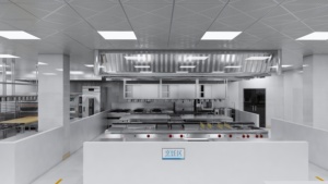 Commercial Hotel & Restaurant Kitchen Equipment Supplies One-piece Work-top Cooking Range Customization School University Cks-0 - Product Image 6