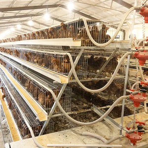 Jaulas de Cría de <span class=keywords><strong>Gallinas</strong></span> Ponedoras de 4 Niveles Tipo A/H <span class=keywords><strong>para</strong></span> 3000 <span class=keywords><strong>Gallinas</strong></span>, Jaulas de Batería <span class=keywords><strong>para</strong></span> Granjas Avícolas a <span class=keywords><strong>Precio</strong></span> Competitivo - Product Image 1