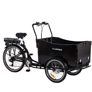 EU China Warehouse Stock Family Three Wheels Electric Cargo Bike Bicycle Electric Tricycle