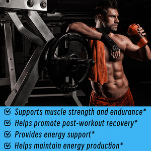 Hot Selling OEM Creatine Monohydrate Powder Dietary Supplement Promote Build Muscle Strength Function and Support Energy Levels - Product Image 4