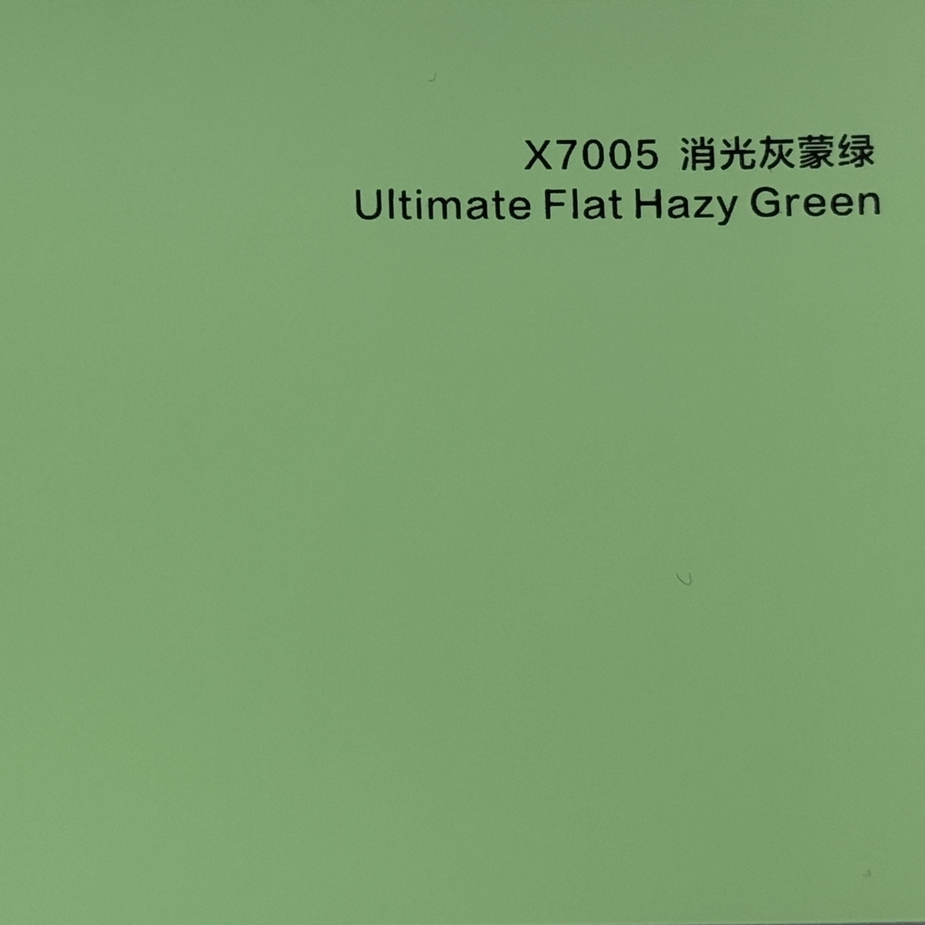 Vert brumeux plat ultime