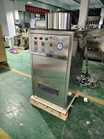 Machine électrique d'éplucheur d'oignon d'ail sec noir de haute qualité commerciale 500 Kg 2 à 3 Kg de prix