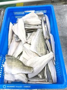 เนื้อปลาทะเลแช่แข็งแบบจีน - Product Image 4