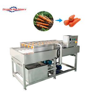 Máquina de lavado de vegetales con cepillos, para jengibre, patatas, zanahorias, máquina de lavado de frutas y verduras con tambor paralelo - Product Image 1