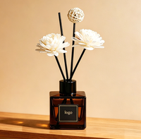 Bouteille diffuseur d'aromathérapie en verre rond en gros avec plusieurs couvercles, impression personnalisée, pour parfum d'intérieur et désodorisant, emballage de bouteille