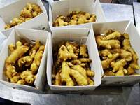 Nouvelle Saison - Exportation de Gingembre Frais - Gingembre Frais de Qualité Supérieure de Chine - Usine de Gingembre