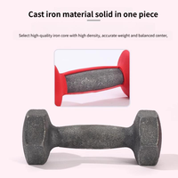 Mancuernas de Hierro Fundido para Pilates, de 0.5 kg a 10 kg, Gama Completa, Logotipo Personalizado, MOQ Bajo, Entrenamiento de Fuerza