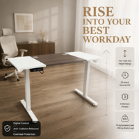 Table élévatrice électrique AOR avec plateau en placage de bois massif, moteur unique, pieds inversés, pieds en T stables, vente en gros d'usine