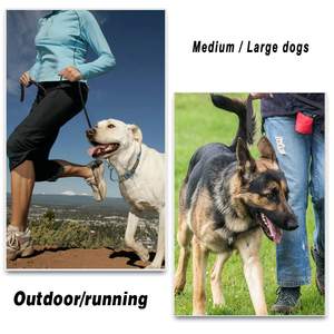 Correa de perro de lujo de alta resistencia, correa de cuero genuino trenzada suave y cómoda para perros pequeños y grandes, entrenamiento de impresión personalizado - Product Image 3