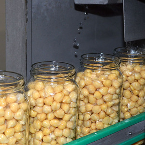Beli makanan kupluk kalengan datang di sini denyut nadi kaleng sehat matang kacang polong dengan harga terjangkau dari Spanyol