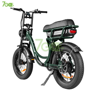 电动自行车 7 速宽胎后轮毂电机 48V 250W 20 英寸液压刹车 储物仓电动自行车 - Product Image 5