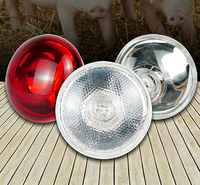 Lampe chauffante infrarouge en aluminium 175W/250W/275W 24V pour porcs et poulets, durable, fabriquée au Guangdong