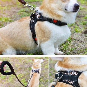 समुद्री स्टेनलेस स्टील कारबिनर स्विवेल स्नैक हुक कुंजी रिंग कुत्ते के लिए उपयोग - Product Image 6