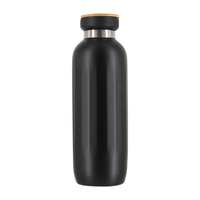 Bouteille d'eau isotherme en acier inoxydable à double paroi, forme gourde, design classique, grande capacité 500 ml, conteneur sous vide pour l'extérieur