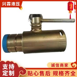 Vanne à boisseau sphérique hydraulique en acier inoxydable avec levier pour applications de systèmes hydrauliques - Product Image 3