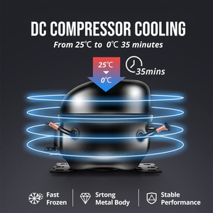 공장 가격 4.6L 미니 냉장고 12V 컴프레서 뒷좌석 냉장고 테슬라 모델 Y 24V 냉각 모드 소형 차량 냉동고 - Product Image 3