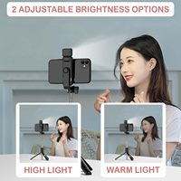 Trépied perche à selfie professionnel pliable robuste en ABS+aluminium, capacité de charge 5 kg, léger pour le vlogging, le streaming en direct et TikTok