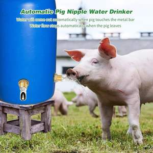NL713 1/2 Abreuvoir à mamelon en laiton Quantité d'eau réglable Abreuvoir à mamelon en laiton pour poulets, automatique pour porcs, vaches <span class=keywords><strong>moutons</strong></span> - Product Image 3