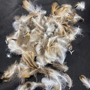 100% plume de canard naturelle pour couette oreiller coussin matériau de remplissage vente chaude lavé naturel 90% plume de canard - Product Image 5