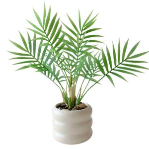 ต้นไ<span class=keywords><strong>ม</strong></span>้ประดิษฐ์พีวีซีเนื้อนิ่ม 27 ซม. ลายใบเต่า ต้นไ<span class=keywords><strong>ม</strong></span>้กระถางเล็ก ของตกแต่งสำนักงาน <span class=keywords><strong>โต๊ะ</strong></span>ทำงาน ห้องนั่งเล่น <span class=keywords><strong>โต๊ะ</strong></span>กาแฟ - Product Image 5