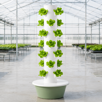 Système de culture hydroponique vertical - Tour de culture sans sol pour jardin potager