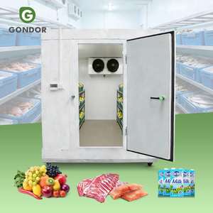 Chambre Froide de Stockage pour Viande et Poisson, Conteneur Réfrigéré de 20 pieds à Vendre - Product Image 1