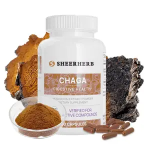 OEM Eigenmarke bio-Chaga-Pilz-Extraktpreis Chaga-Pilz-Extraktpulver