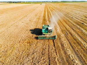 Cosechadora <span class=keywords><strong>de</strong></span> alimentación completa <span class=keywords><strong>de</strong></span> arroz <span class=keywords><strong>de</strong></span> cosecha pequeña 100HP GF38 con lista <span class=keywords><strong>de</strong></span> precios - Product Image 6