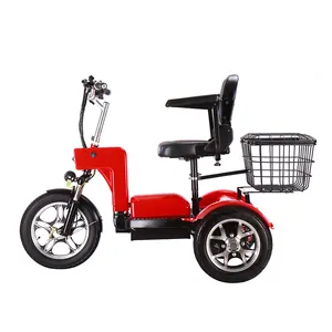 Chargeur AGM & GEL [Scooter handicapé PMR mobilité réduite]