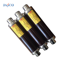 Fusible haute tension JASCO JSDR XRNT-Type 12-36kV HRC haute performance 160A III, testé par pulvérisation de sel pour usage électrique industriel