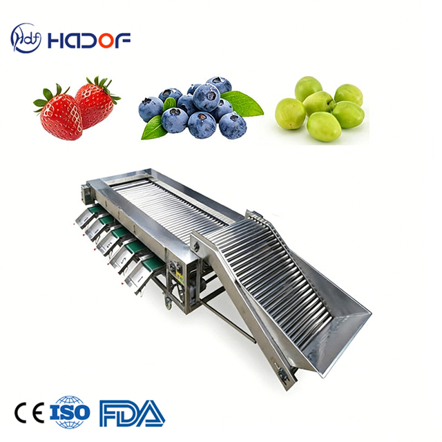 Blueberry Optical Sorter Citrus & Small Fruit Grading Machine for Raspberry Cherry & Vegetable Sorting